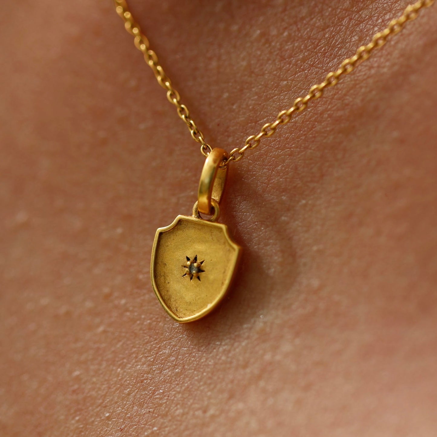 Aegis Necklace