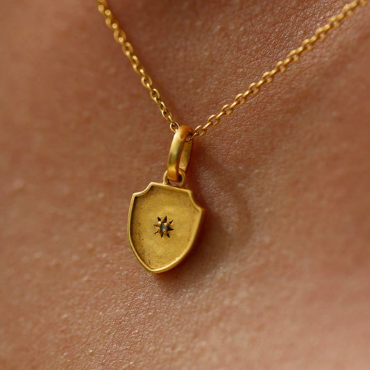 Aegis Necklace