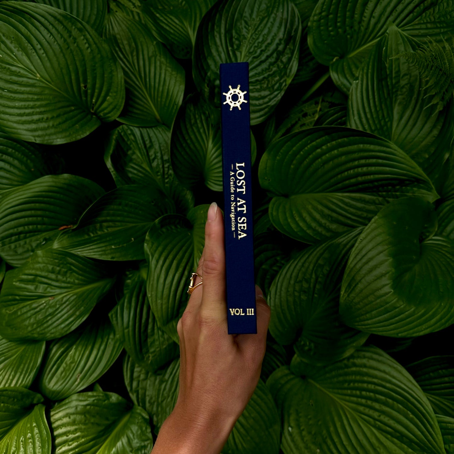 Lost At Sea Journal
