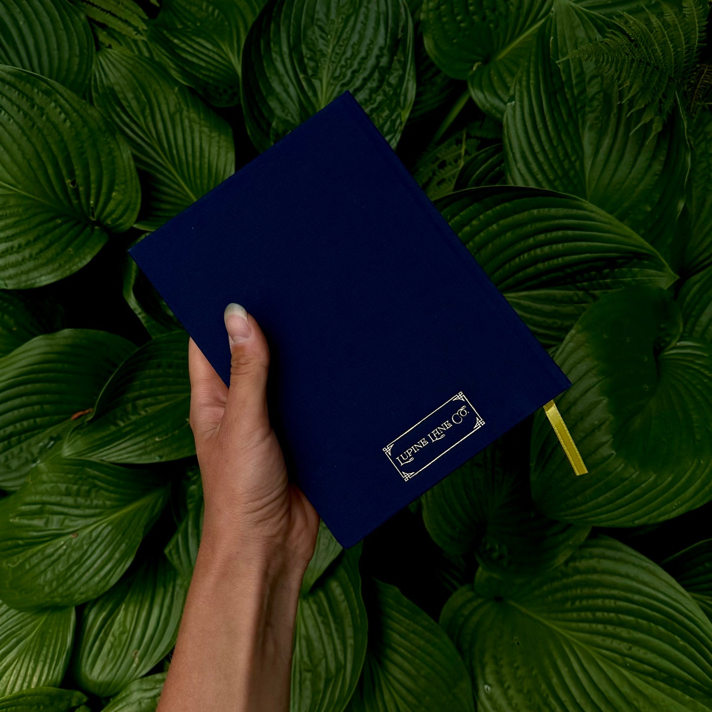 Lost At Sea Journal