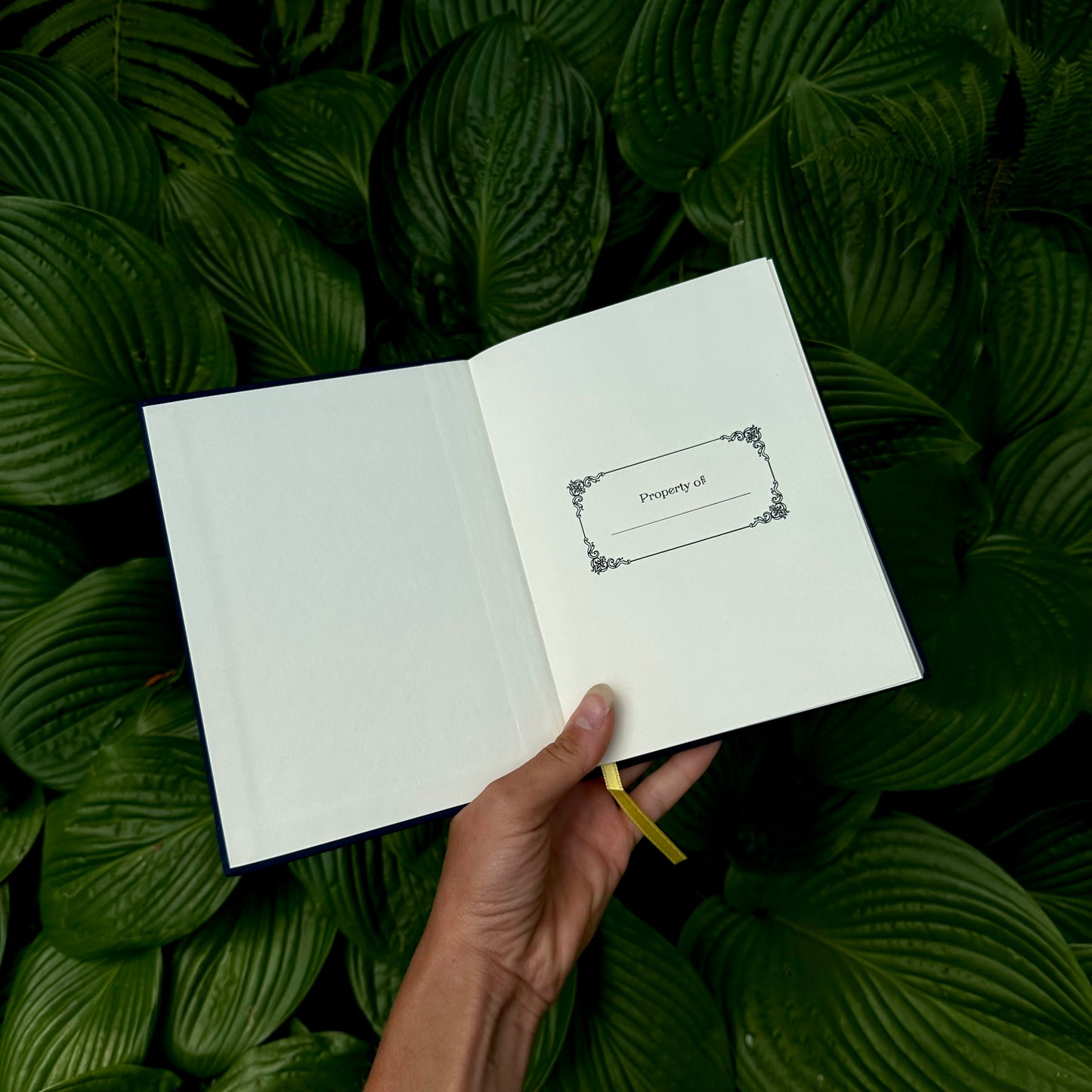Lost At Sea Journal